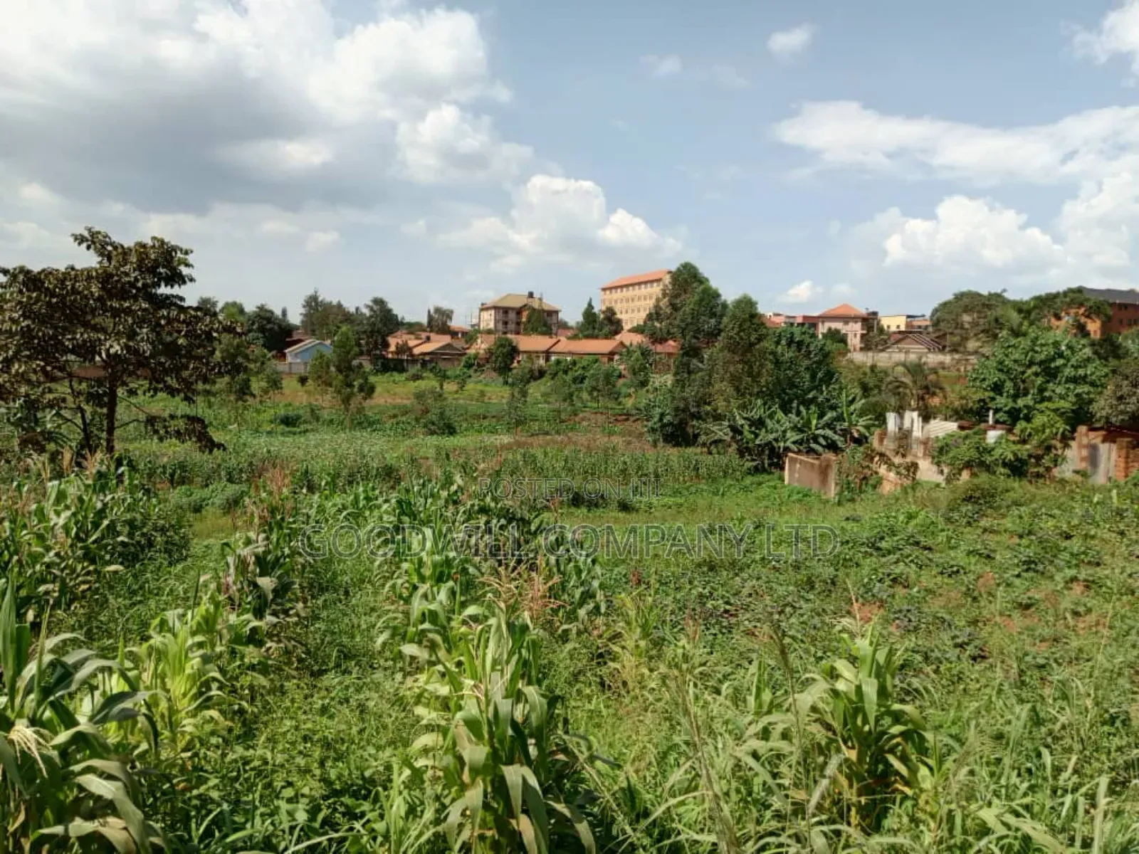 5.2 Acres of Land in Namanve 200 Meters Off Tarmac Road in Central Division