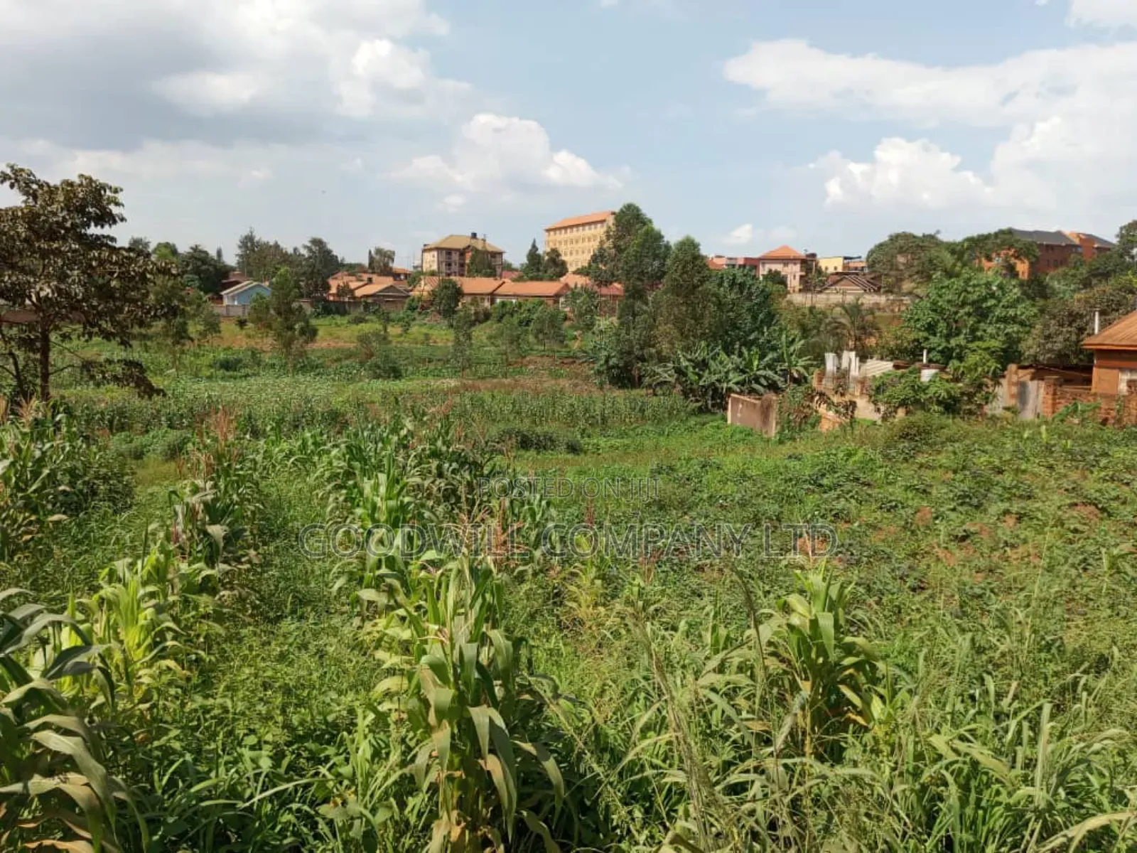 5.2 Acres of Land in Namanve 200 Meters Off Tarmac Road in Central Division