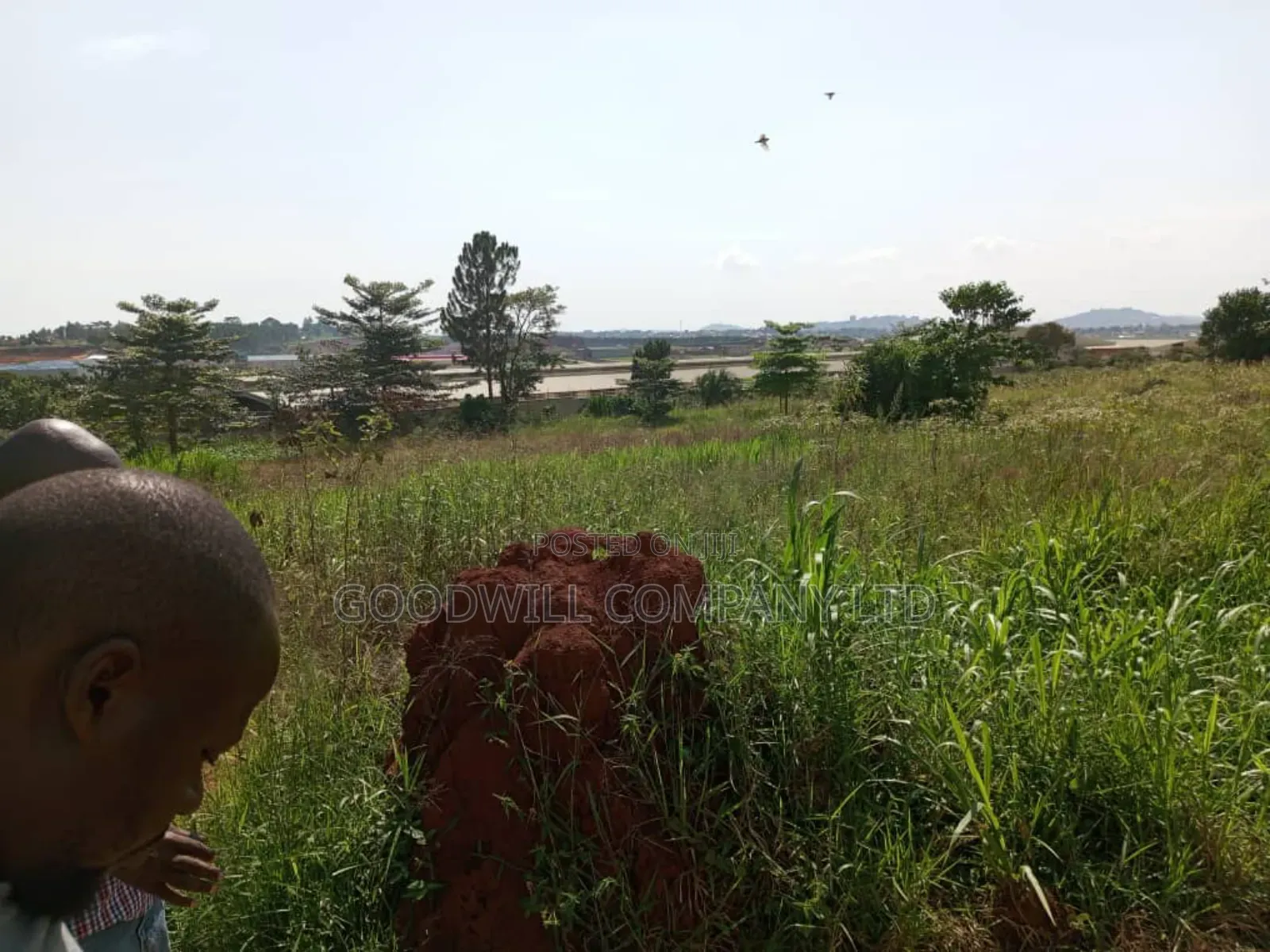 3 Acres of Land in Namanve Good for Many Projects Near Kampala in Central Division