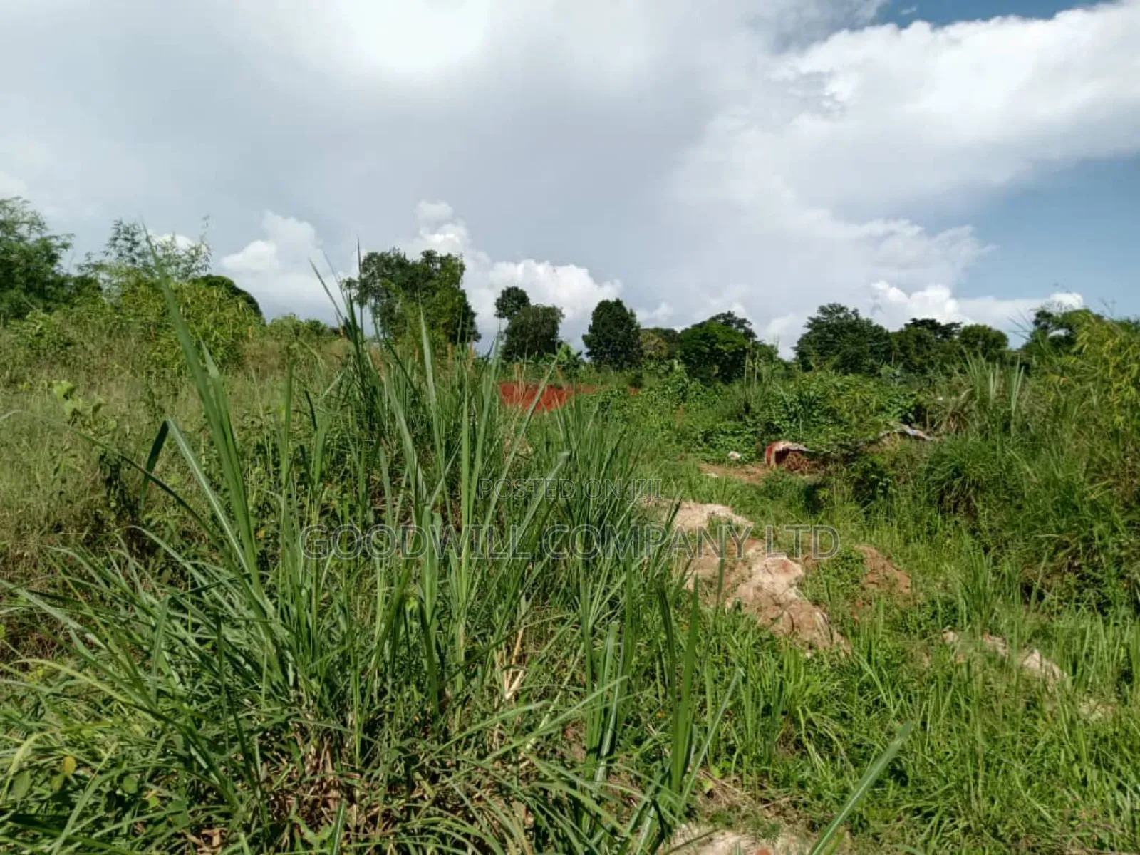 3 Acres of Land in Namanve Good for Many Projects Near Kampala in Central Division