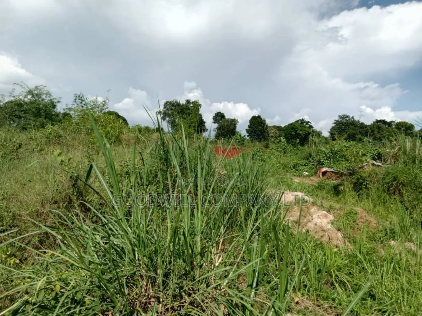 3 Acres of Land in Namanve Good for Many Projects Near Kampala in Central Division