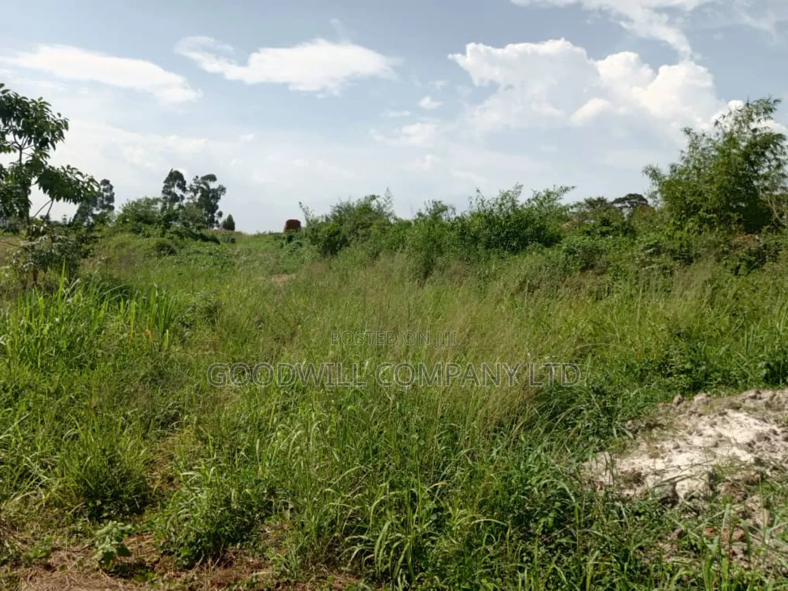 3 Acres of Land in Namanve Good for Many Projects Near Kampala in Central Division