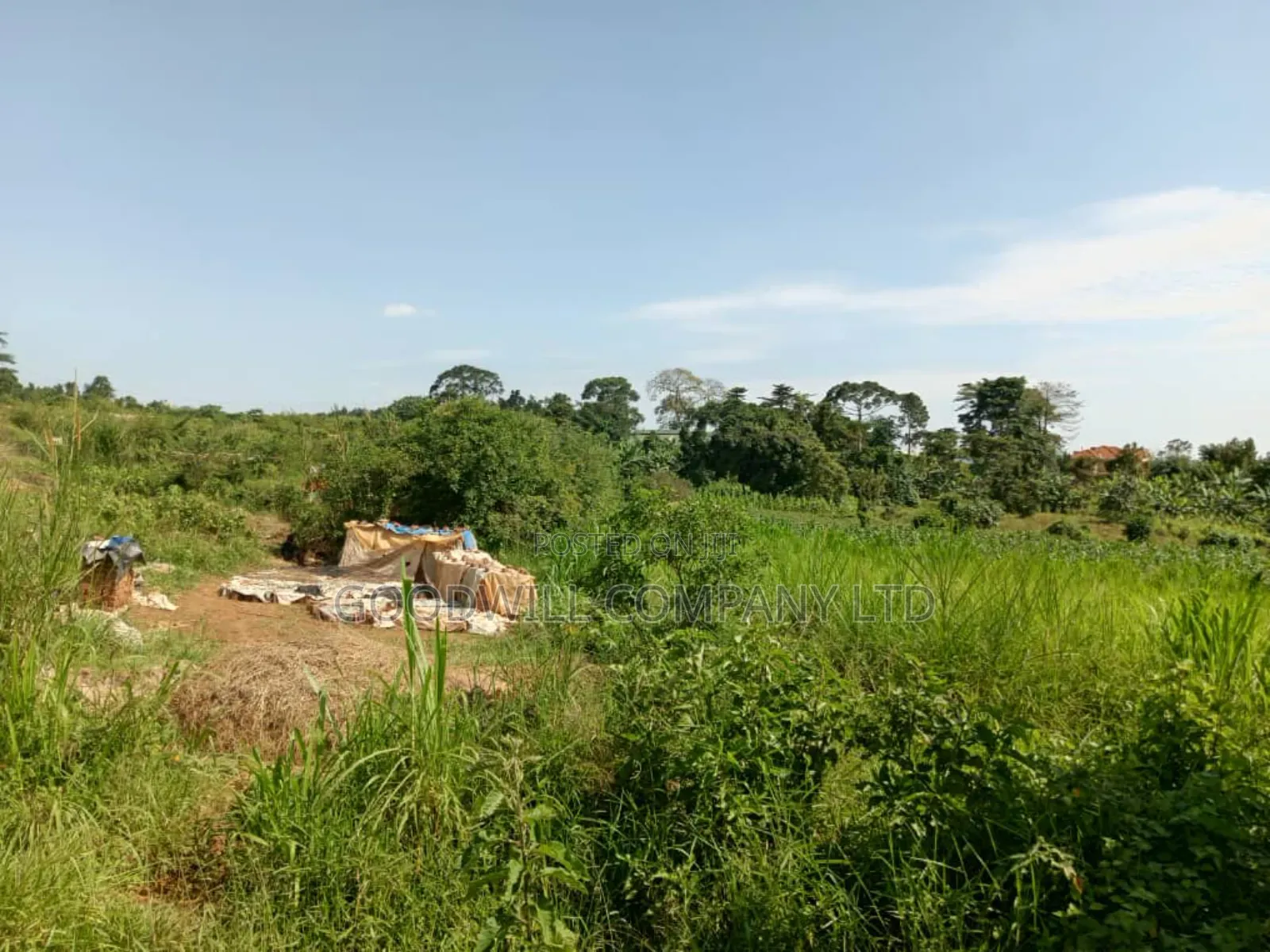 3 Acres of Land in Namanve Good for Many Projects Near Kampala in Central Division