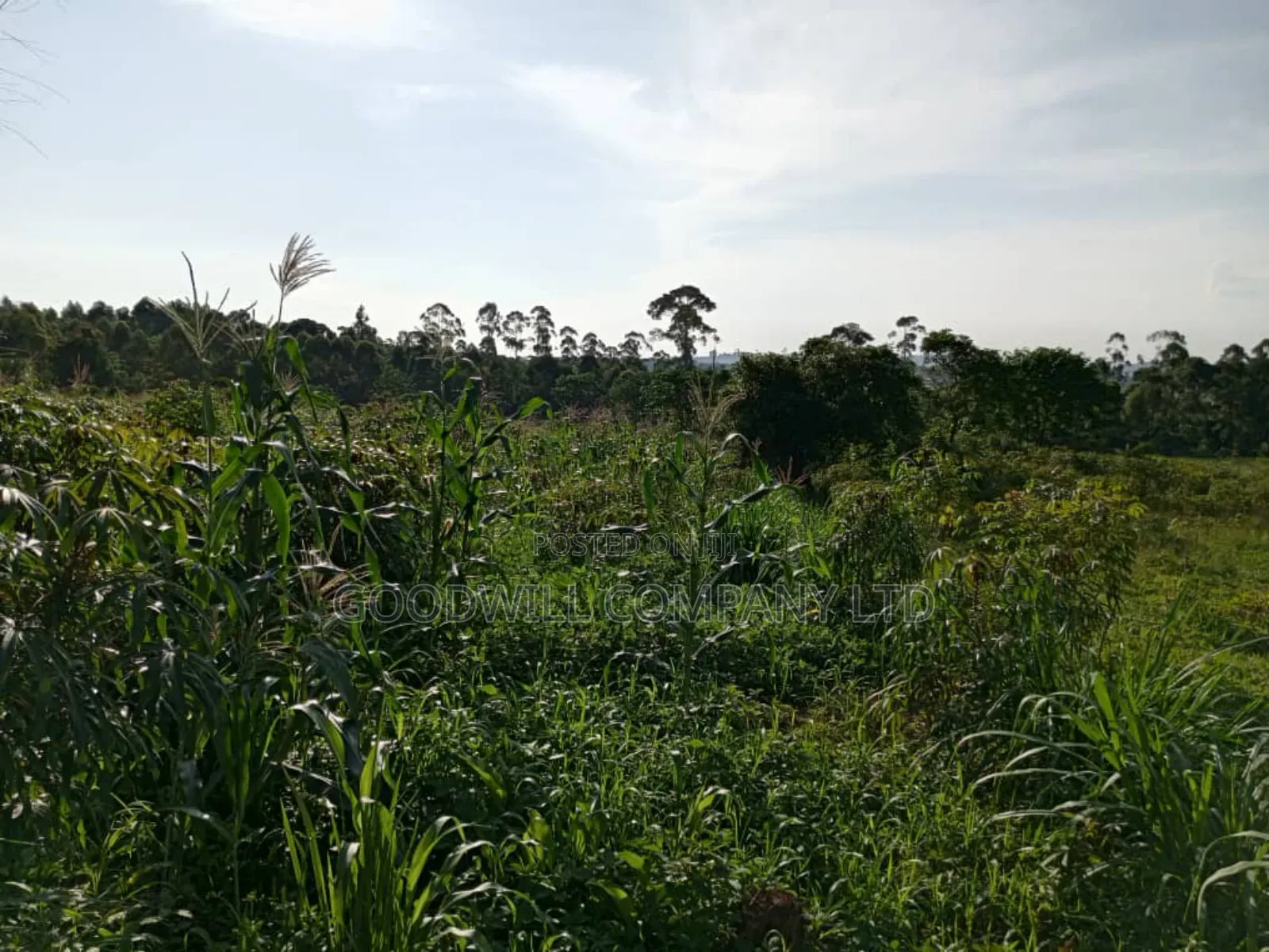 6.6 Acres of Land in Namanve Industrial Park in Central Division