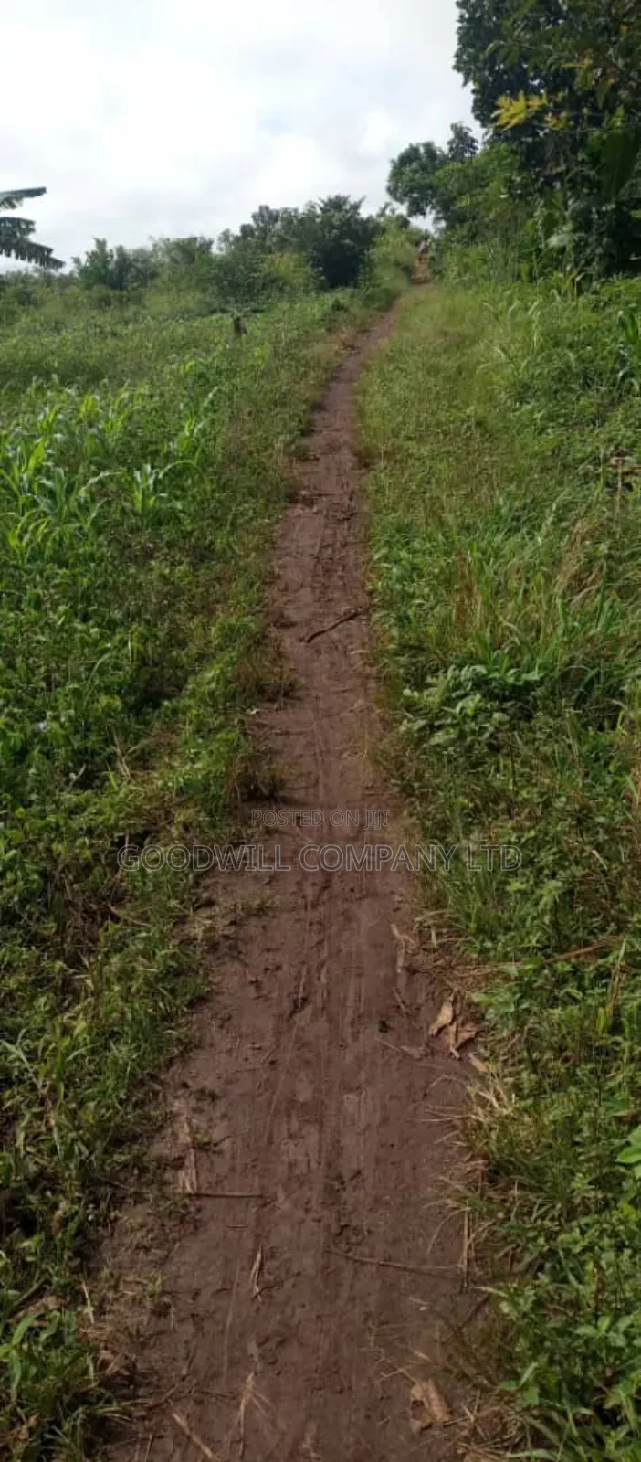 10 Acres of Land in Kiwanura Kikyusa Zirobwe Road in Central Division