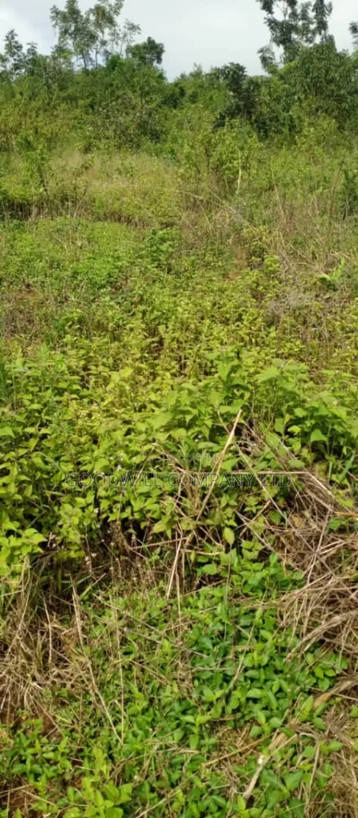 10 Acres of Land in Kiwanura Kikyusa Zirobwe Road in Central Division