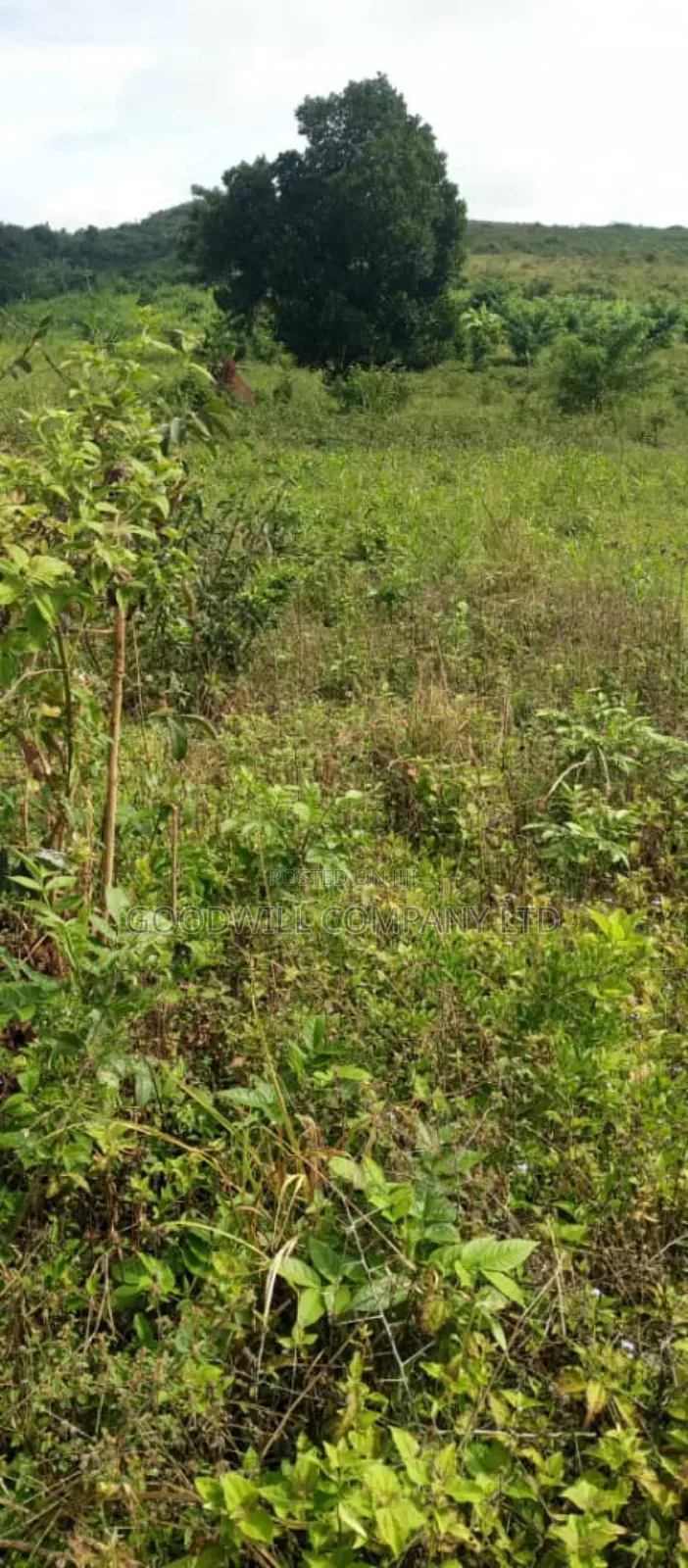 10 Acres of Land in Kiwanura Kikyusa Zirobwe Road in Central Division