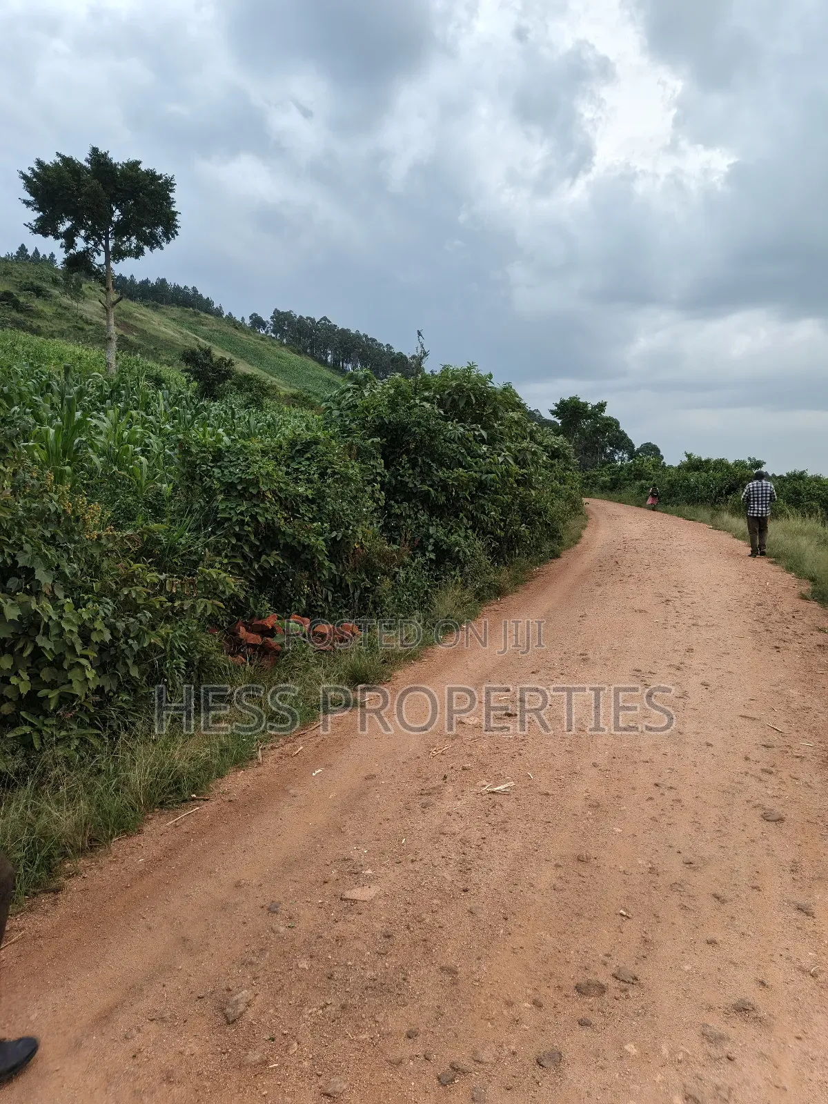 3acres of Commercial Land in Njeru in Kyenjojo