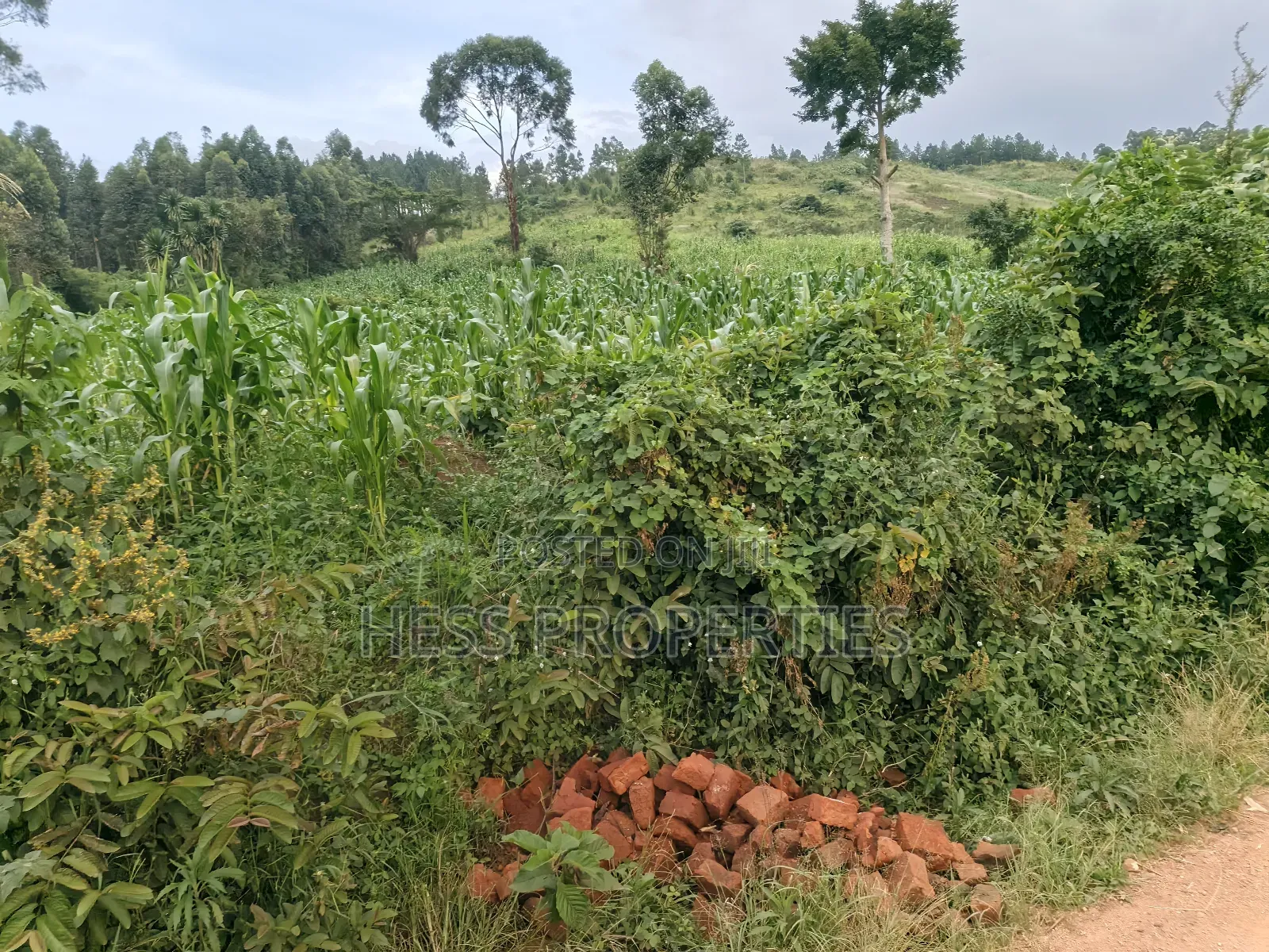 3acres of Commercial Land in Njeru in Kyenjojo