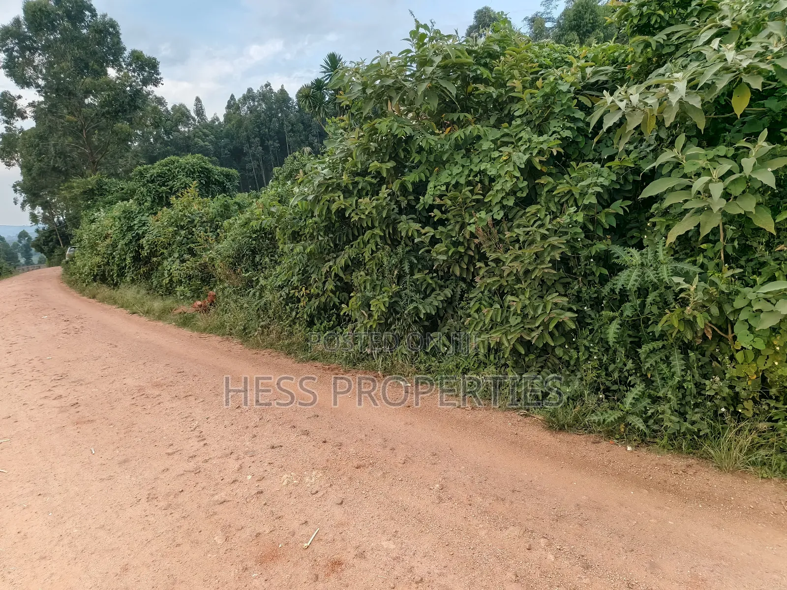 3acres of Commercial Land in Njeru in Kyenjojo