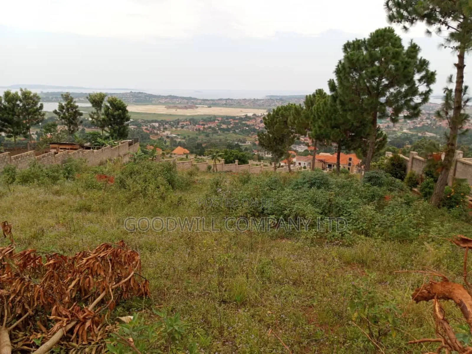 50 Decimals Entebbe Road Bwebajja Lake View- 50 Decimals (1⁄2 Acre) in Central Division