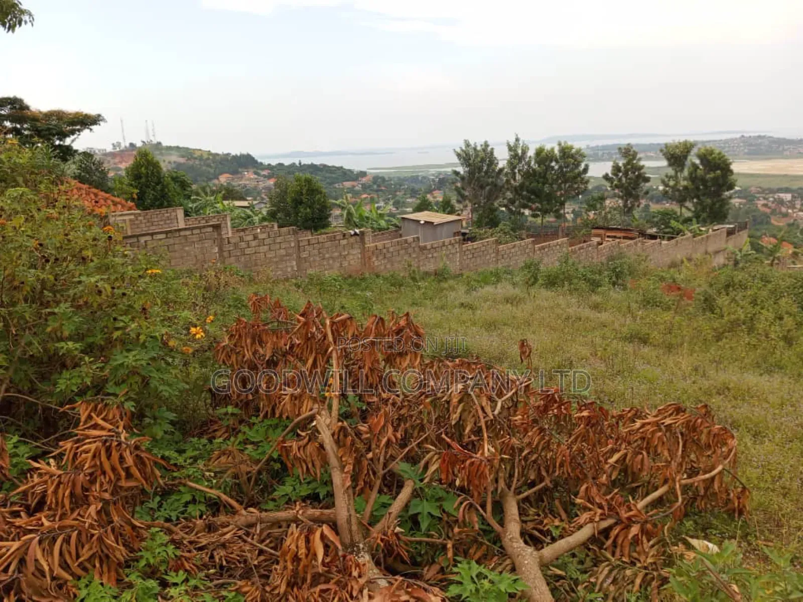 50 Decimals Entebbe Road Bwebajja Lake View- 50 Decimals (1⁄2 Acre) in Central Division