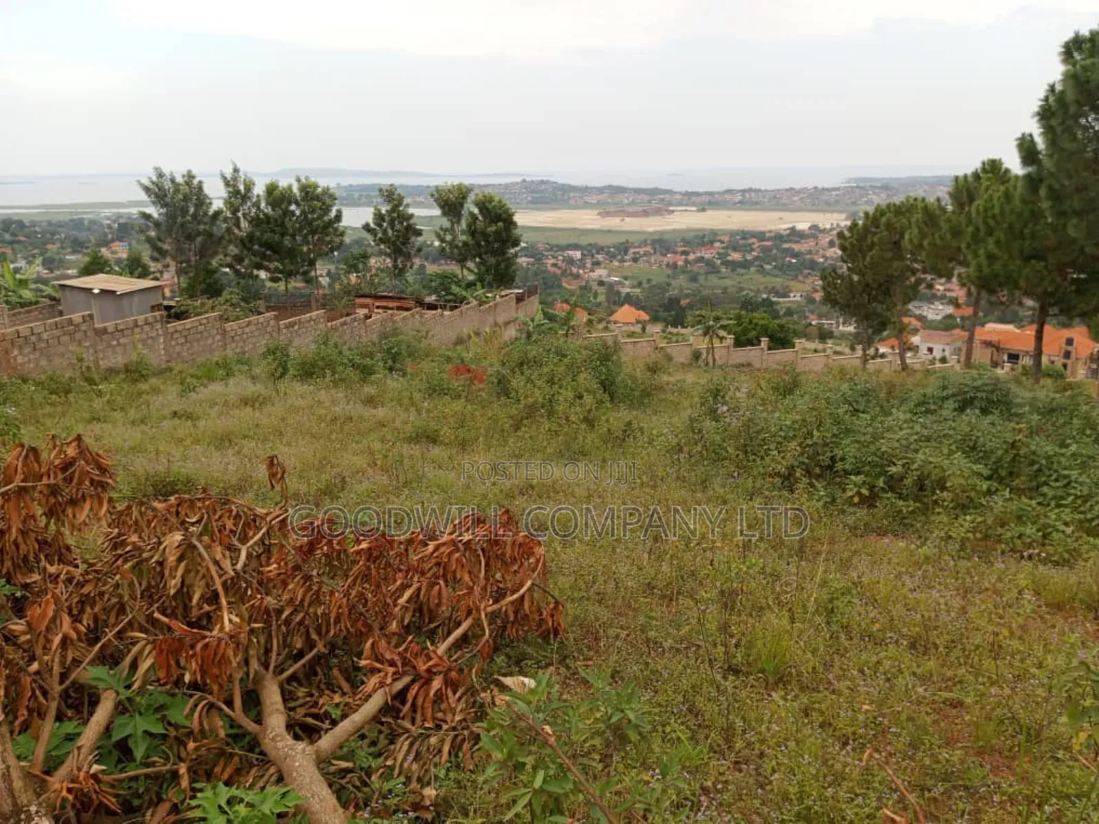 50 Decimals Entebbe Road Bwebajja Lake View- 50 Decimals (1⁄2 Acre) in Central Division