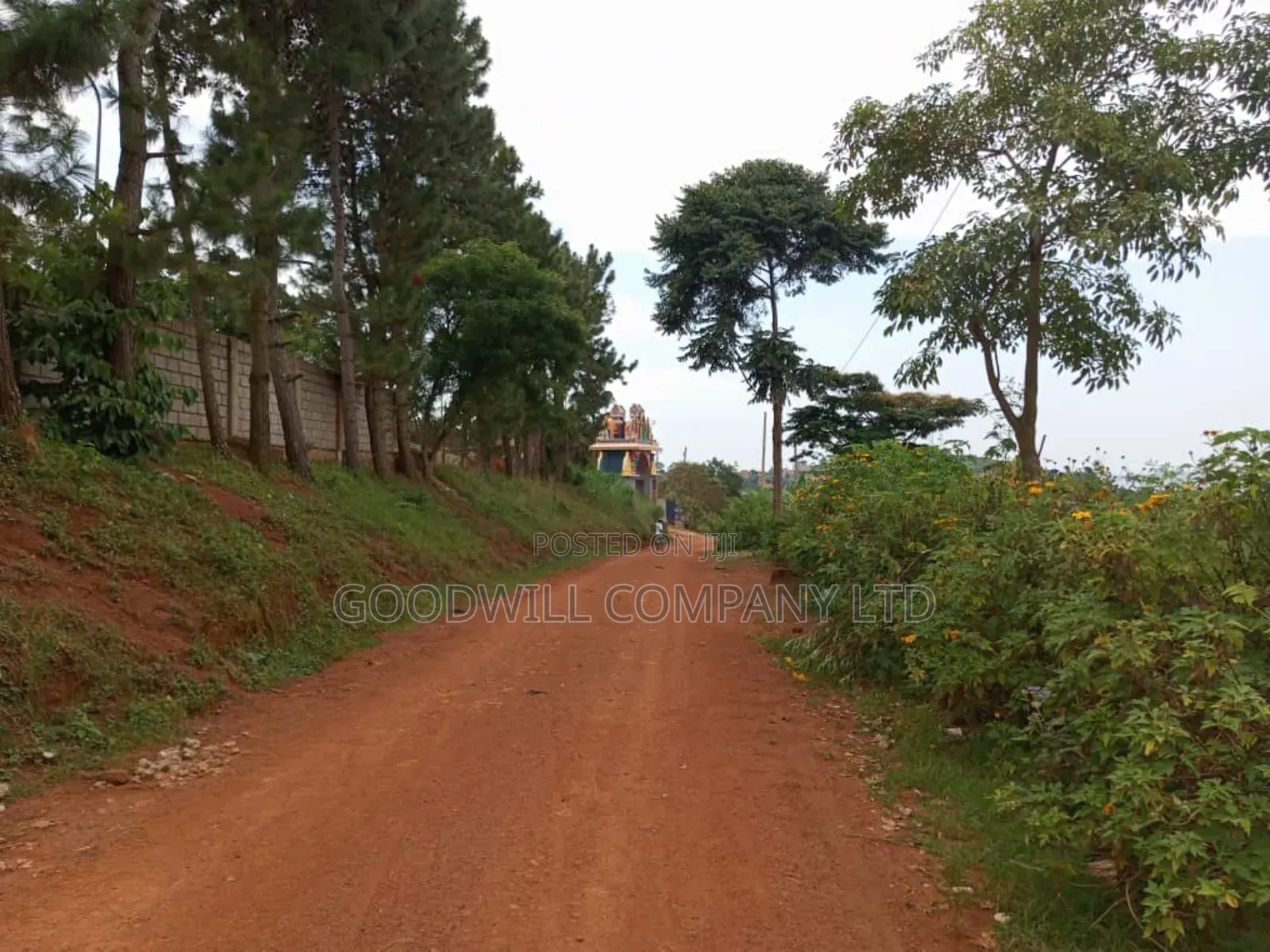 50 Decimals Entebbe Road Bwebajja Lake View- 50 Decimals (1⁄2 Acre) in Central Division