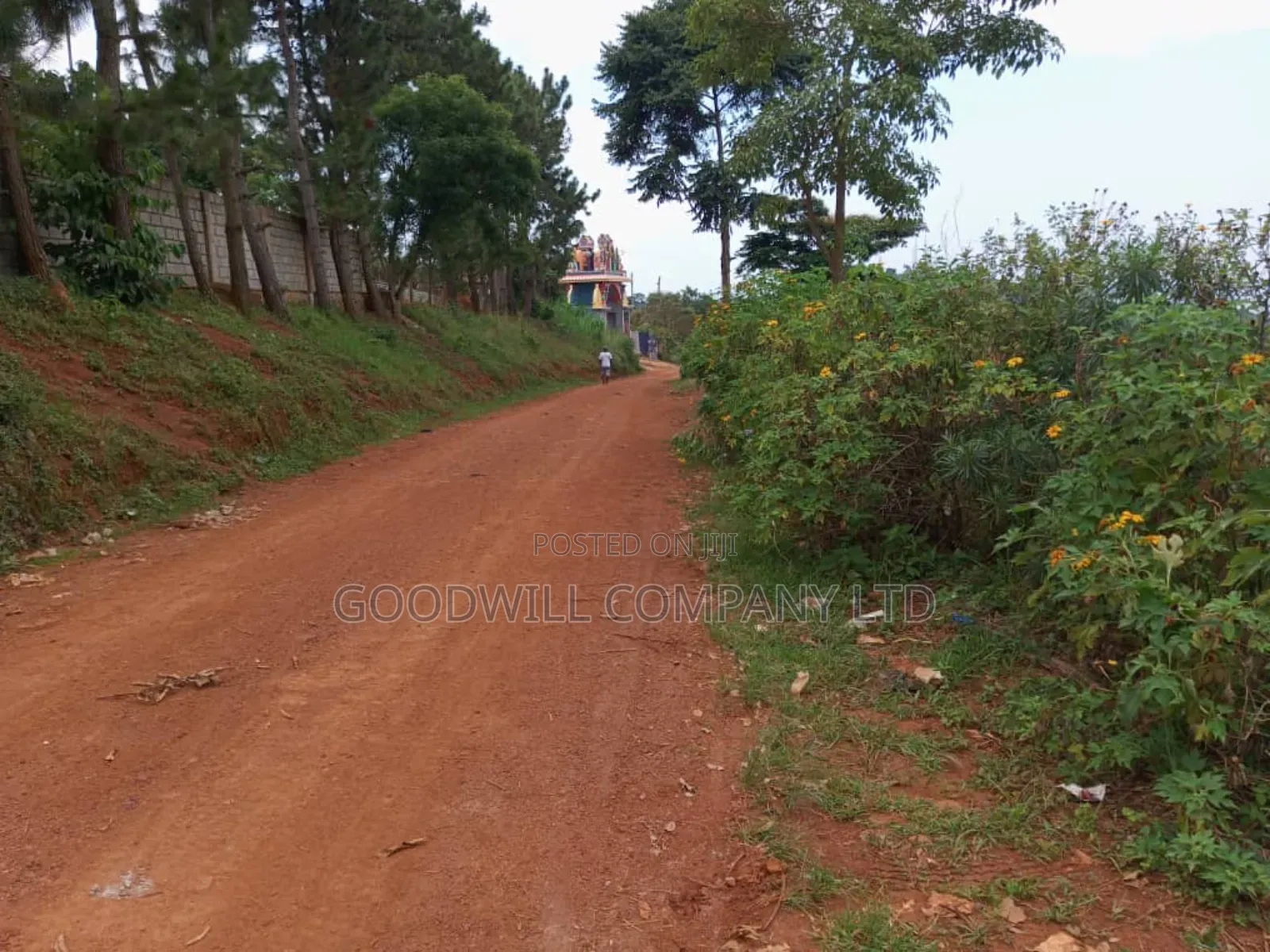50 Decimals Entebbe Road Bwebajja Lake View- 50 Decimals (1⁄2 Acre) in Central Division