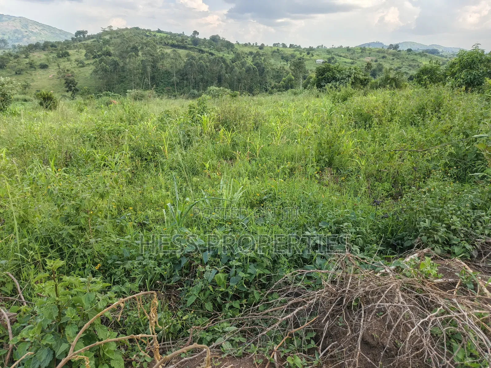 2.5acres of Land on Sale in Kyenjojo