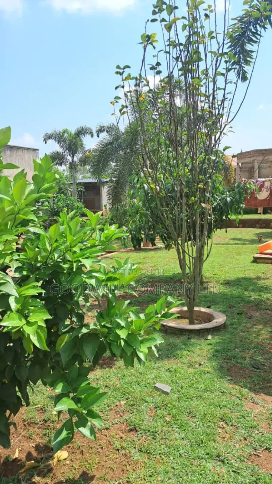 4bdrm House in Bulwanyi Nakawuka, Central Division for sale in Central Division