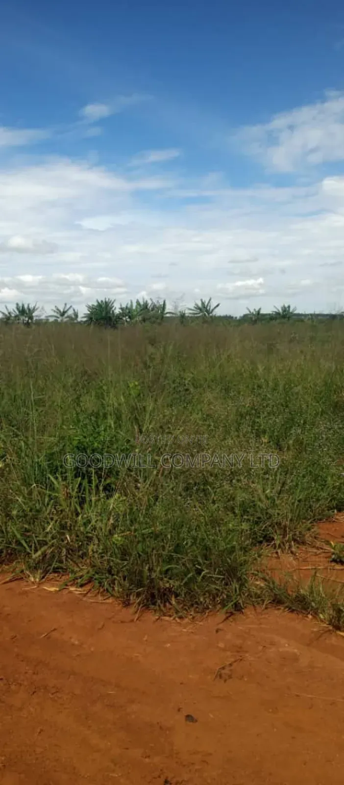 100 Acres of Land in Kamira Kikyuusa Zirobwe Road in Central Division