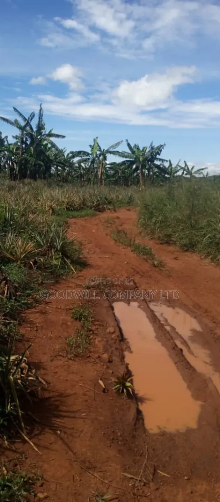 100 Acres of Land in Kamira Kikyuusa Zirobwe Road in Central Division