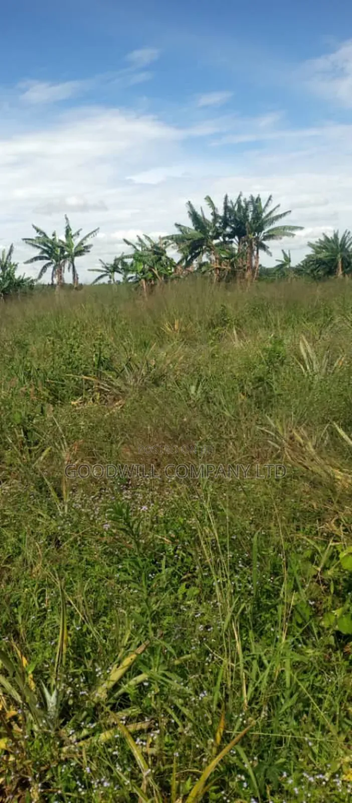 100 Acres of Land in Kamira Kikyuusa Zirobwe Road in Central Division