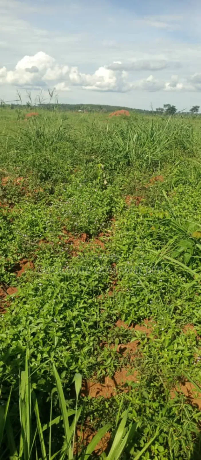 100 Acres of Land in Kamira Kikyuusa Zirobwe Road in Central Division