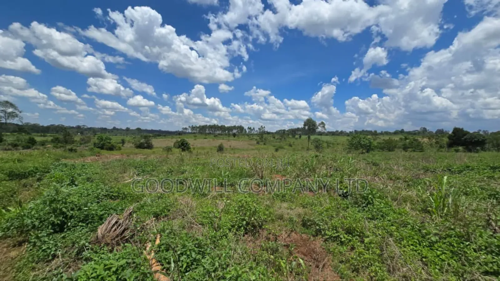 50 Acres of Land in Mukono Mpoma 4km Off Kayunga Road in Central Division