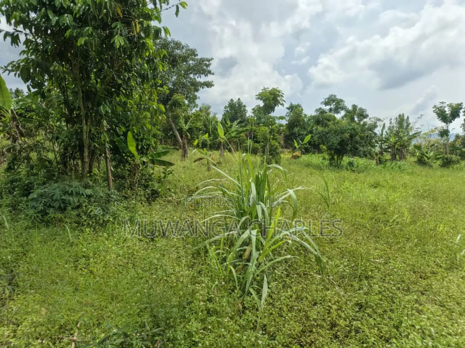 2acres on Sale in Kisoga Mukono in Mukono TC