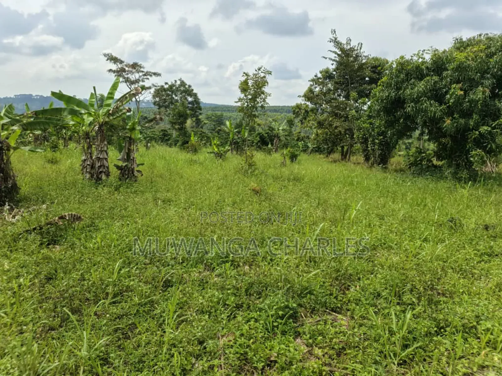 2acres on Sale in Kisoga Mukono in Mukono TC