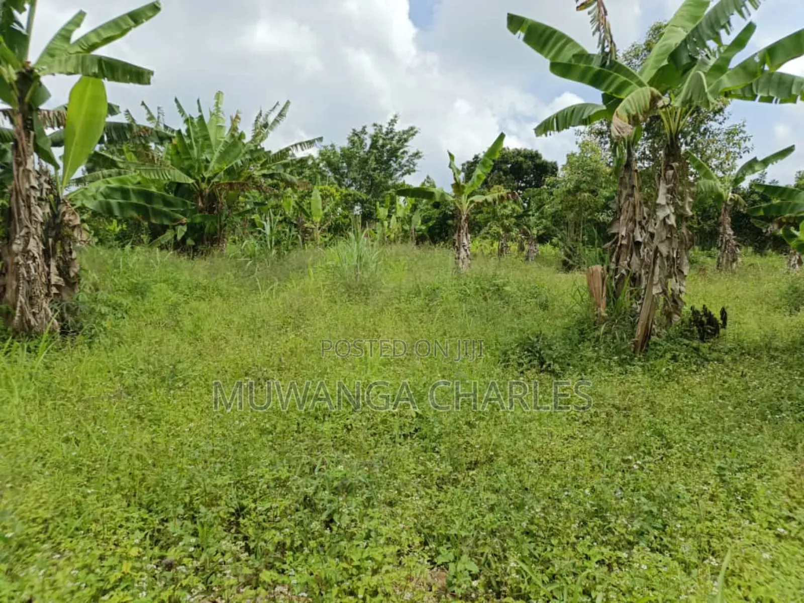 2acres on Sale in Kisoga Mukono in Mukono TC