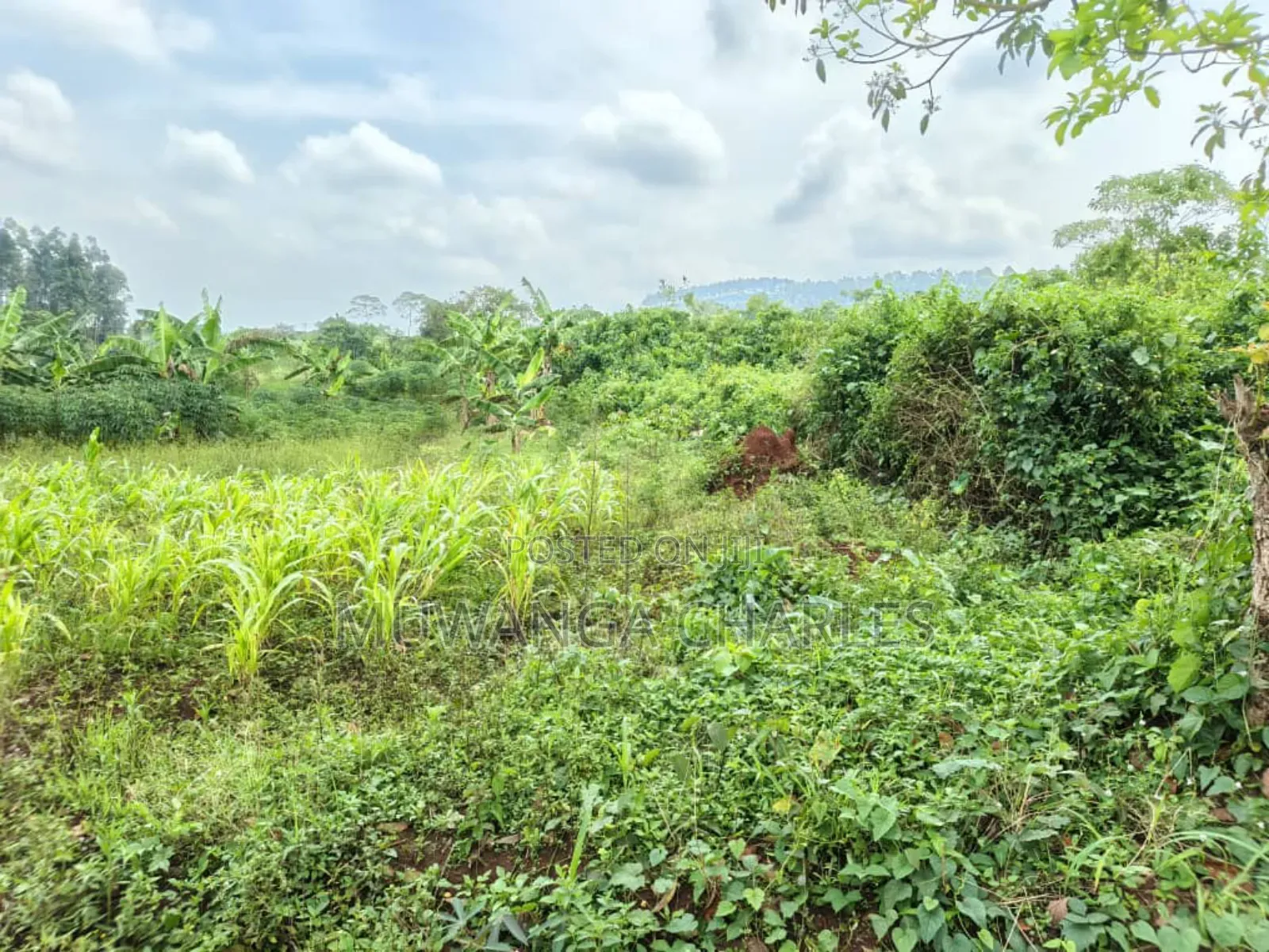 2acres on Sale in Kisoga Mukono in Mukono TC