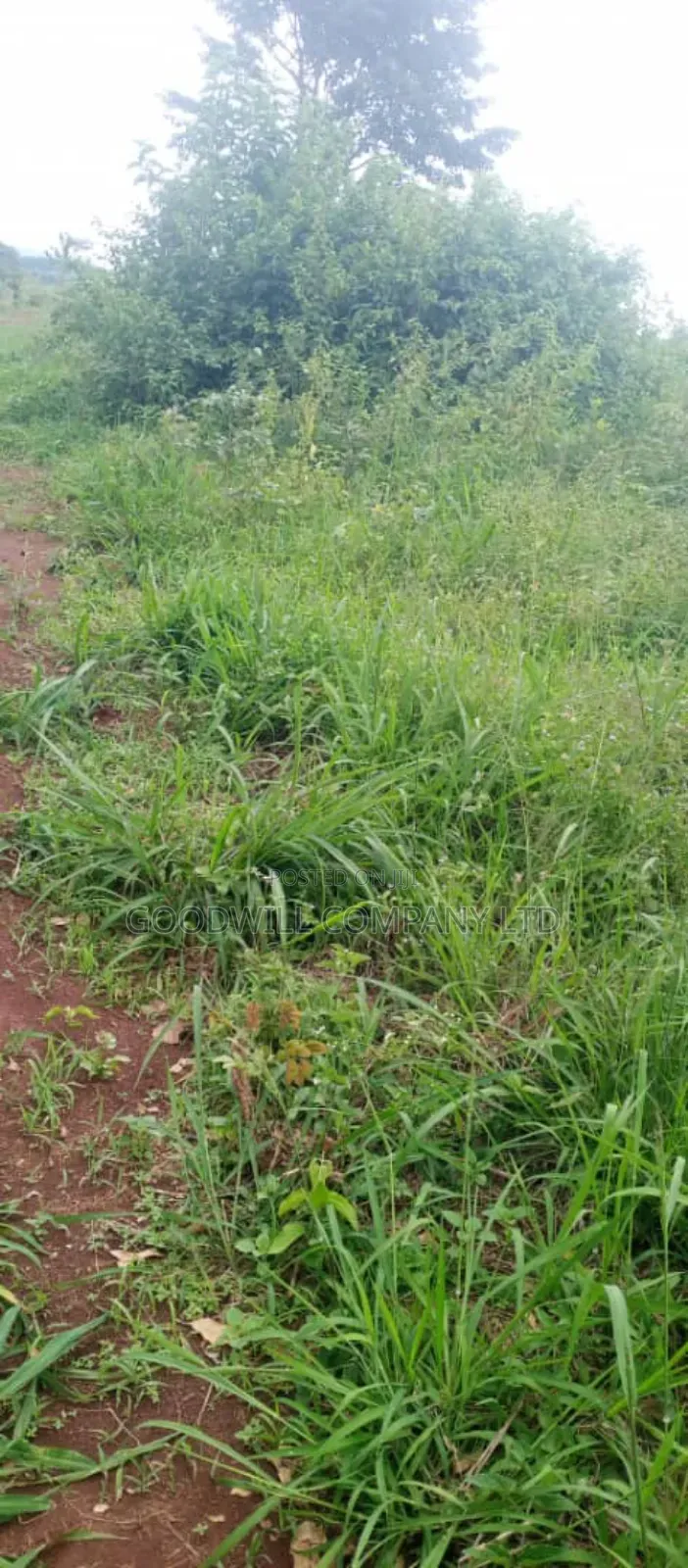 10 Acres of Land on Sale at Luwero Galikworeka in Central Division