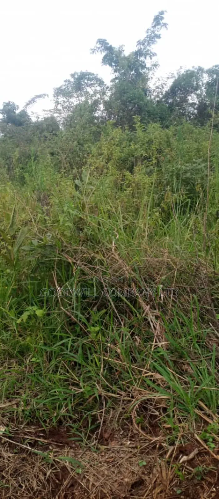 10 Acres of Land on Sale at Luwero Galikworeka in Central Division