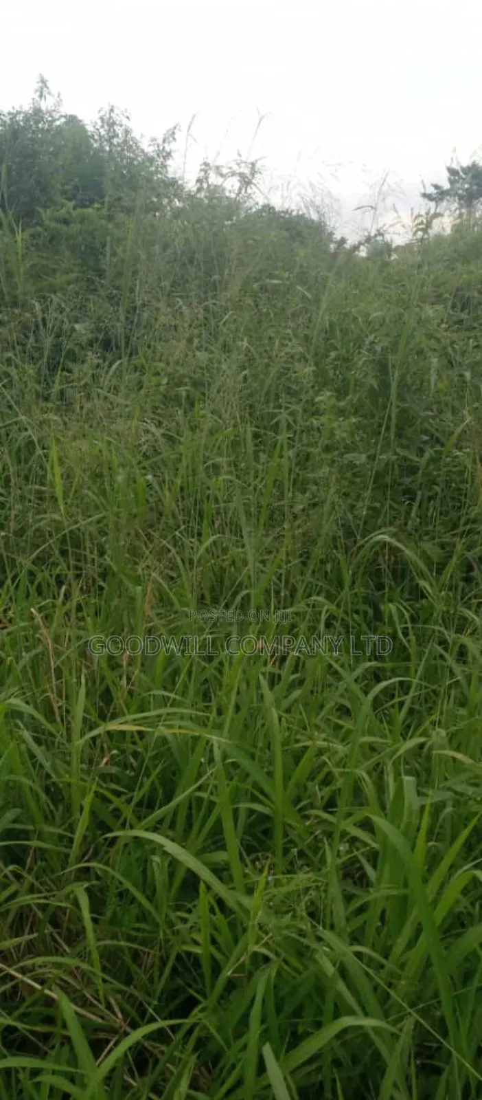 10 Acres of Land on Sale at Luwero Galikworeka in Central Division