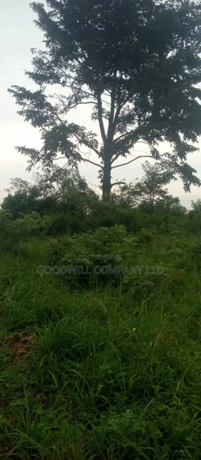 10 Acres of Land on Sale at Luwero Galikworeka in Central Division