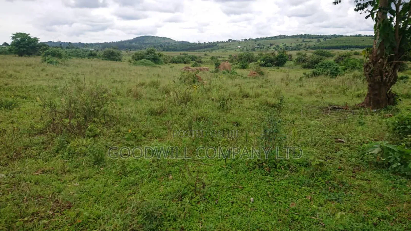 100 Acres of Land Mpigi Masaka Road, 60km From Kla,
3km Off Tarmac. in Central Division