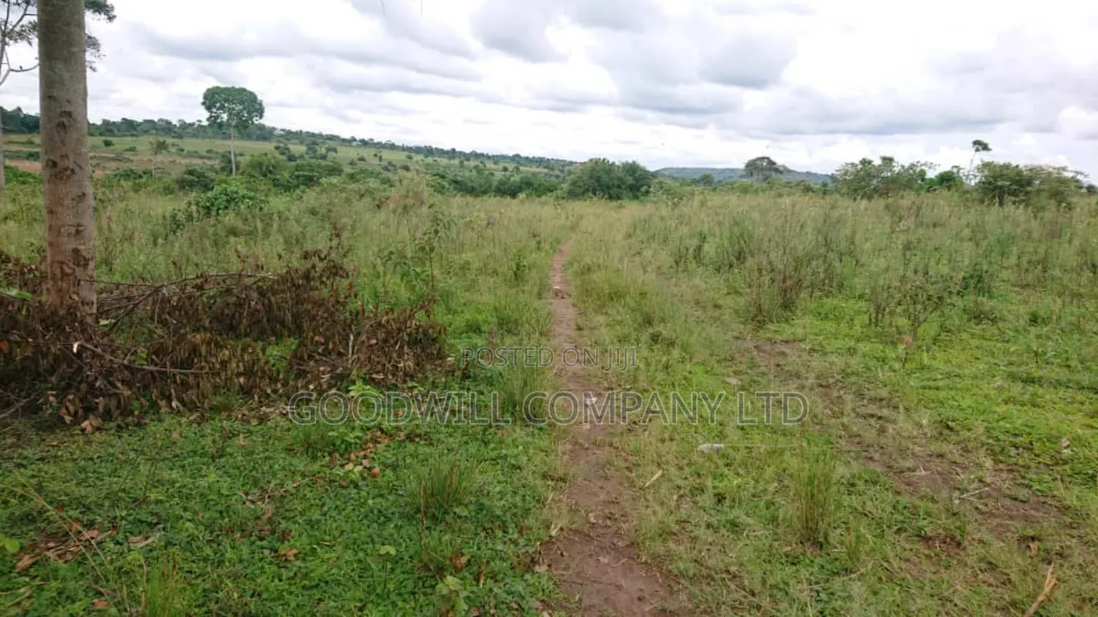 100 Acres of Land Mpigi Masaka Road, 60km From Kla,
3km Off Tarmac. in Central Division