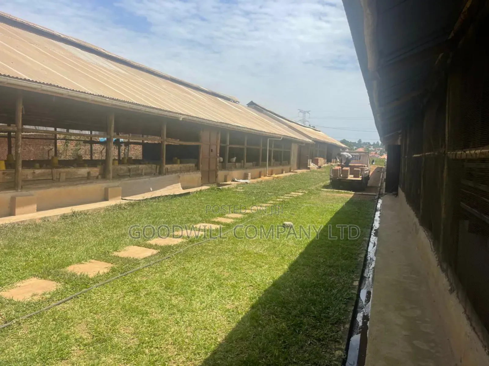 3 Acres of Farm Land With, Home House, Paltry House, Banana Plantation in Central Division