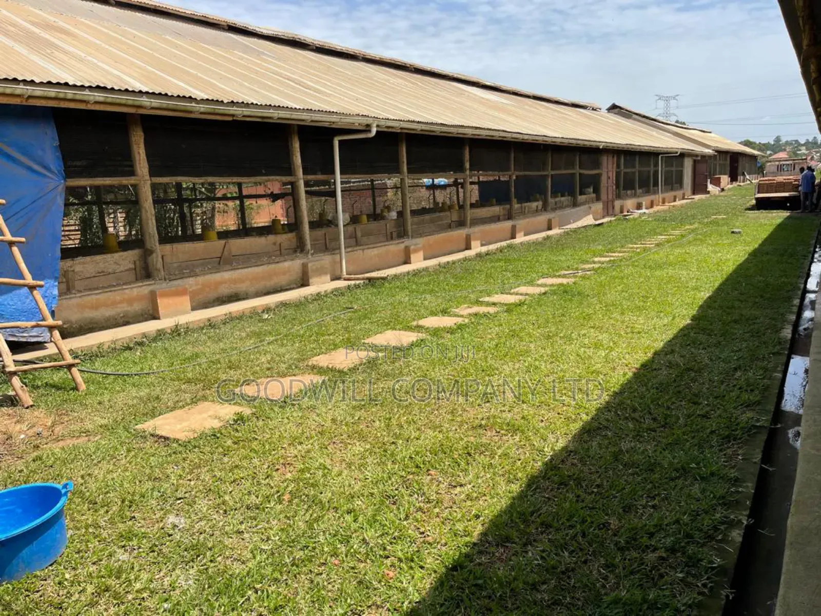 3 Acres of Farm Land With, Home House, Paltry House, Banana Plantation in Central Division