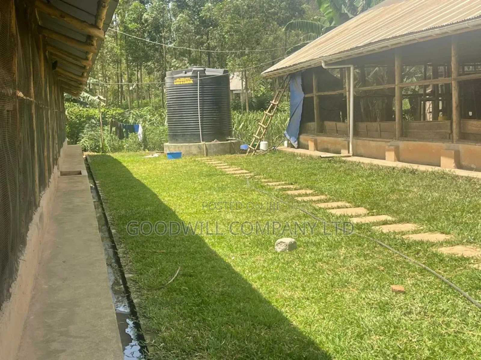 3 Acres of Farm Land With, Home House, Paltry House, Banana Plantation in Central Division