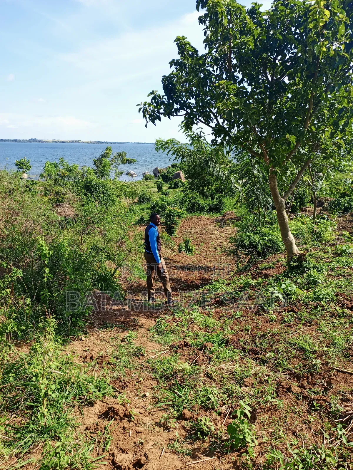 7 Acres of Land on the Lake Shores in Mayuge