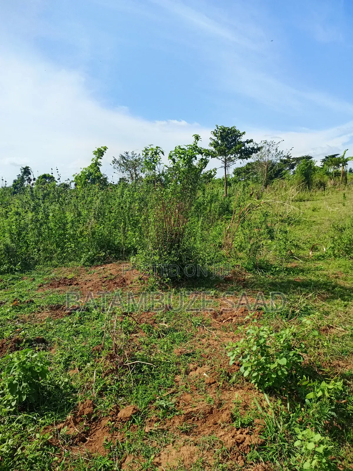 7 Acres of Land on the Lake Shores in Mayuge