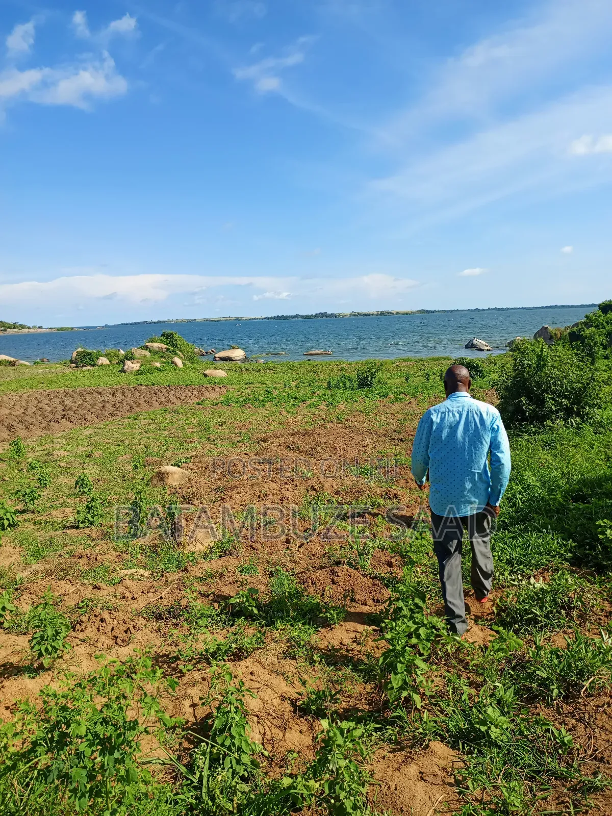 7 Acres of Land on the Lake Shores in Mayuge
