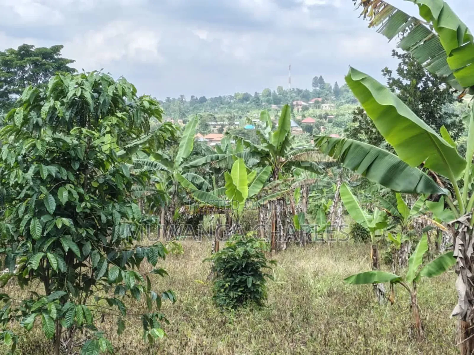 Land on Sale in Bombo Kalule in Bombo TC