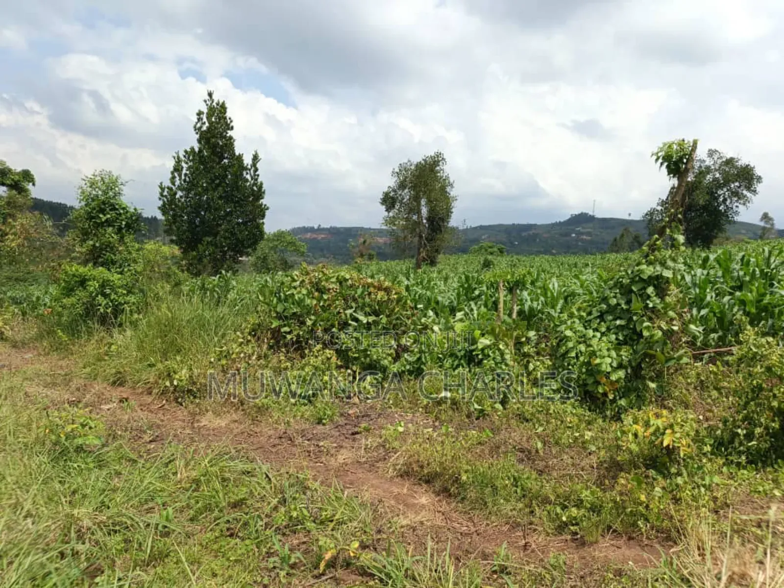 Land on Sale in Bombo Kalule in Bombo TC
