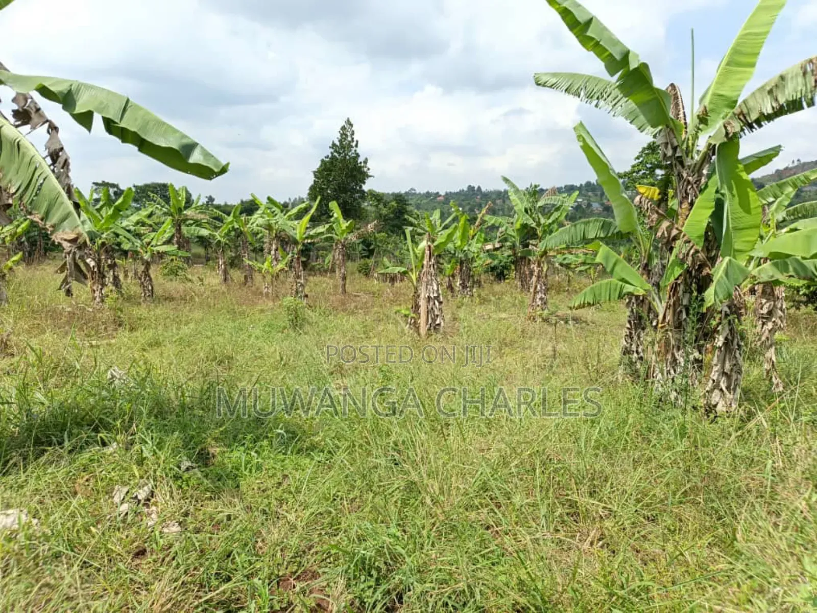 Land on Sale in Bombo Kalule in Bombo TC