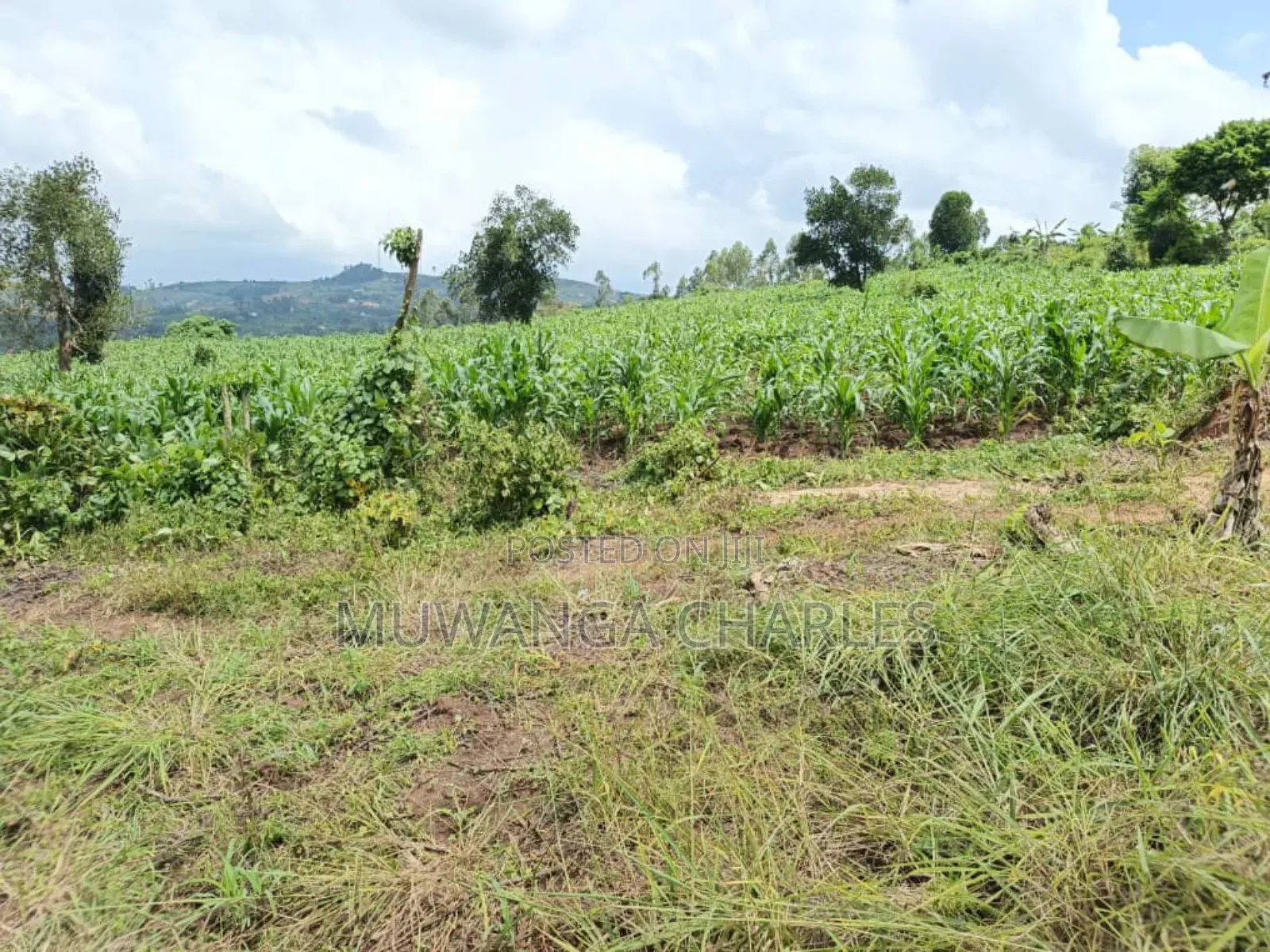 Land on Sale in Bombo Kalule in Bombo TC
