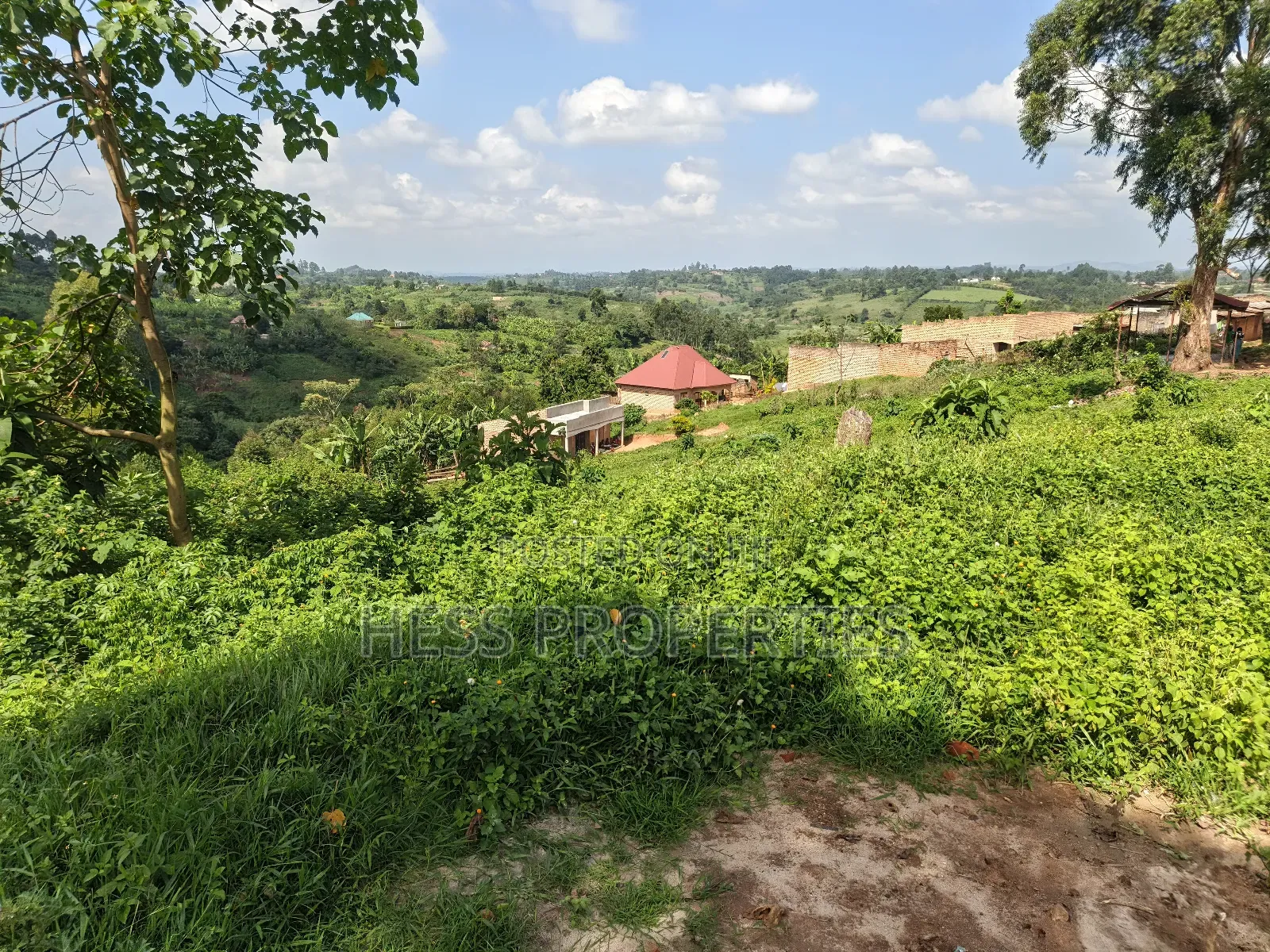 Commercial Land on Sale in Kyenjojo