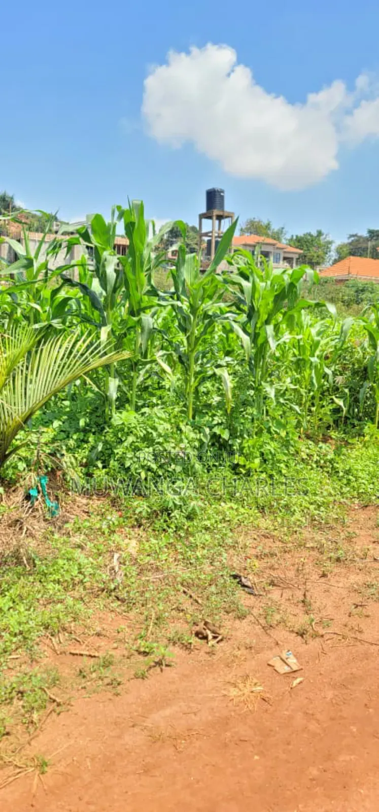 Plot on Sale in Kyanja in Nakawa
