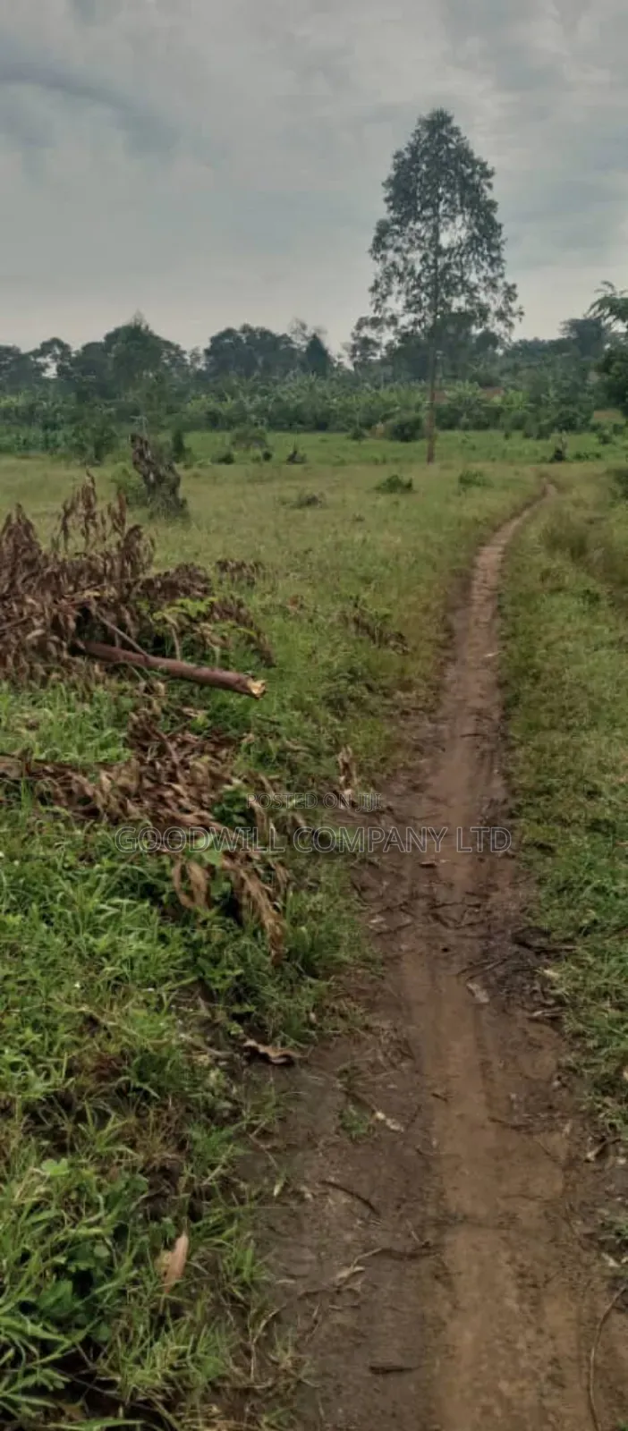 25 Acres of Land in Kakuto Luwero 10km From Luwero Kasana Town to Land in Central Division