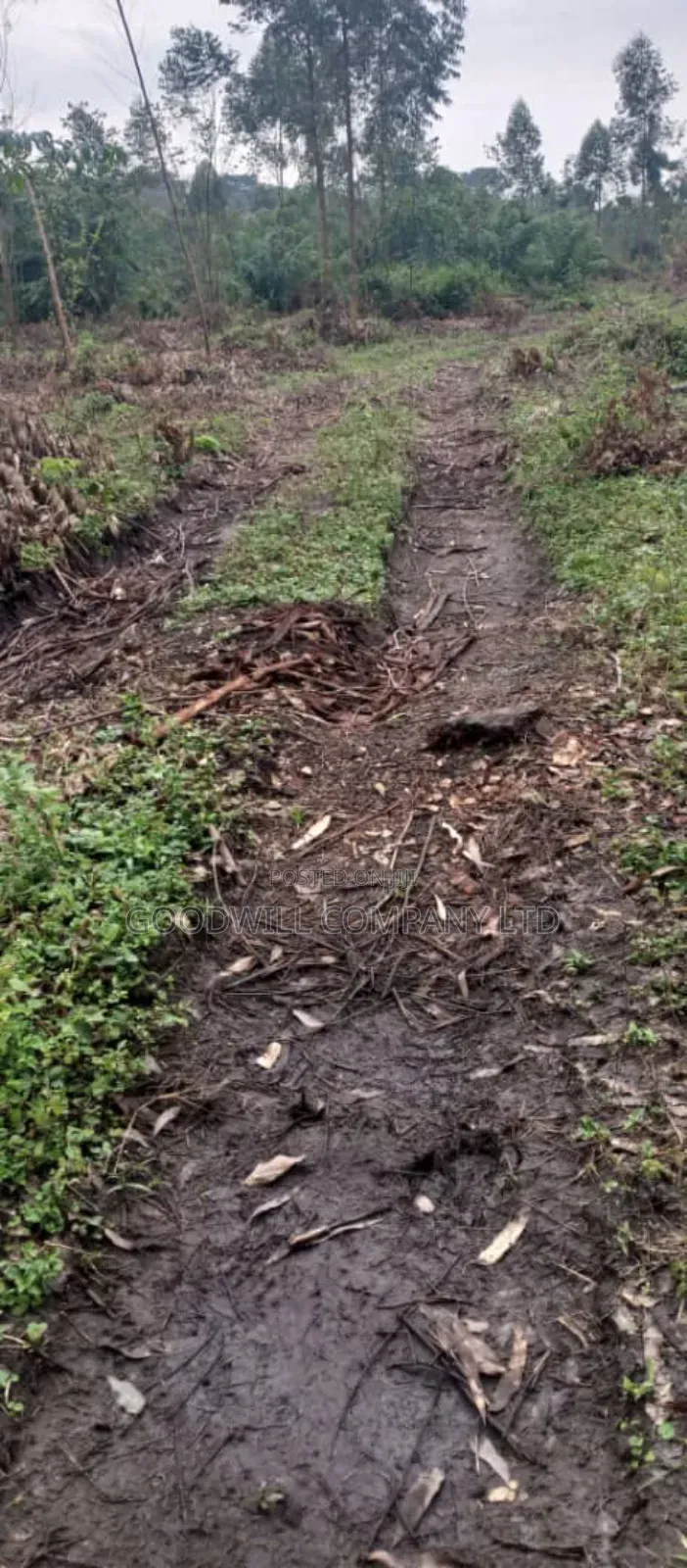 25 Acres of Land in Kakuto Luwero 10km From Luwero Kasana Town to Land in Central Division